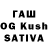 Галлюциногенные грибы Cubensis Thynna Tavares